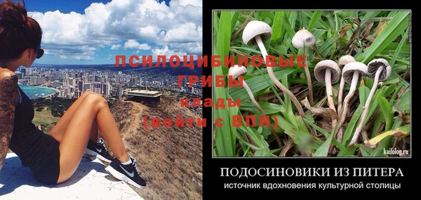 дмт Аркадак