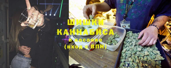 ешки Арсеньев
