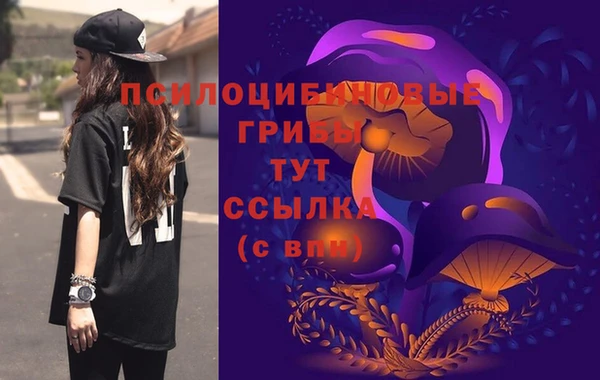 ешки Арсеньев